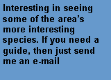 Tekstboks: Interesting in seeing some of the area�s more interesting species. If you need a guide, then just send me an e-mail